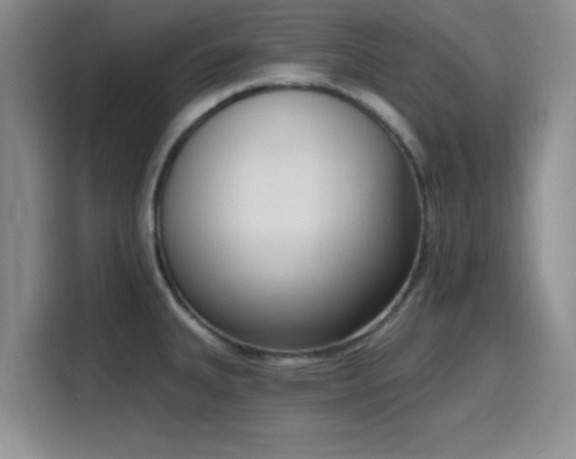 X0000116151335200911231323