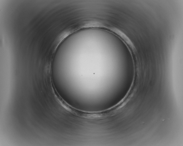 X0000116151337200911231323