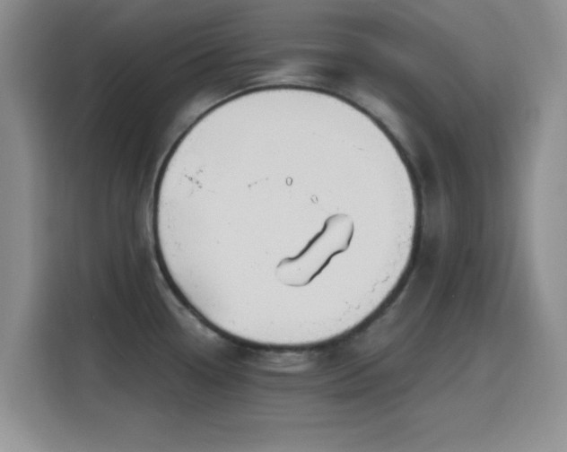 X0000116151338200911231323