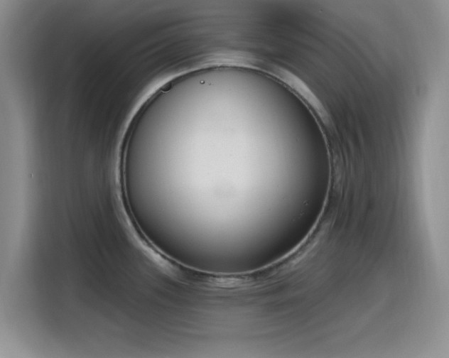 X0000116151339200911231323