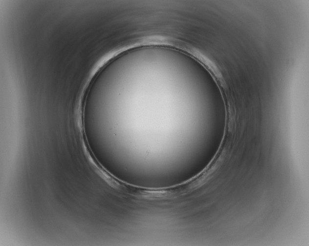 X0000116151342200911231324