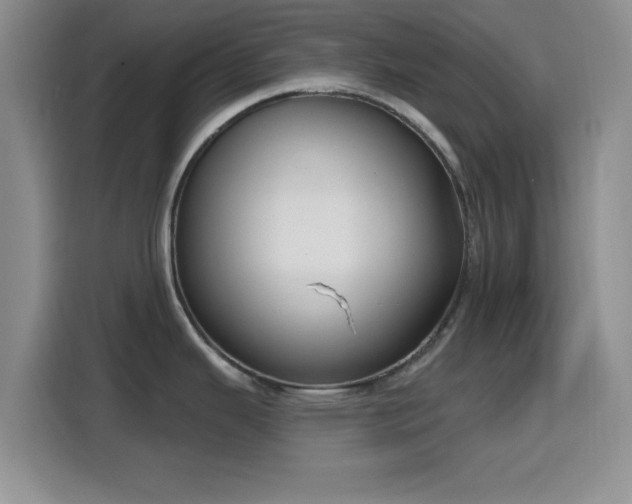 X0000116151343200911231324