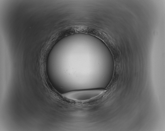 X0000116151345200911231323