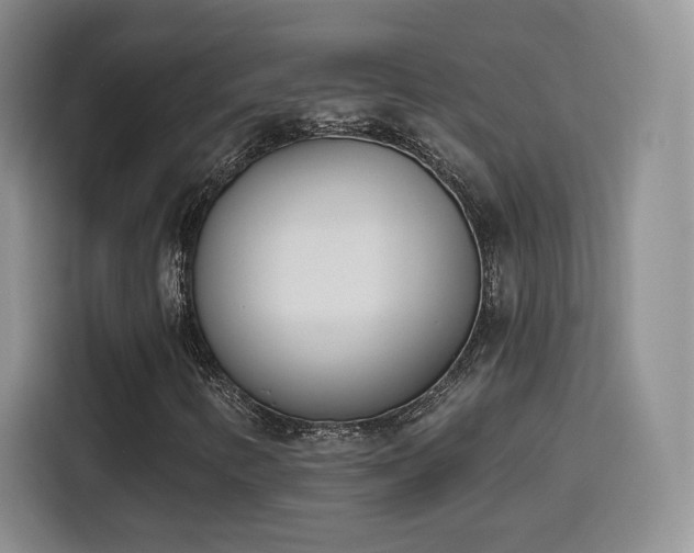 X0000116151346200911231323