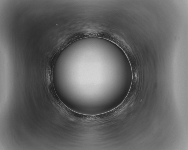 X0000116151348200911231323