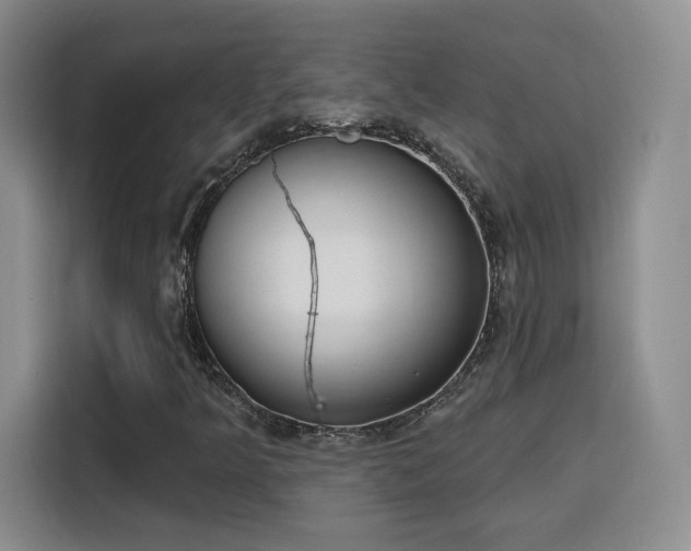 X0000116151349200911231323