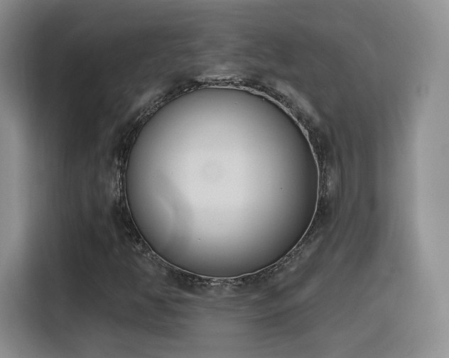 X0000116151350200911231323