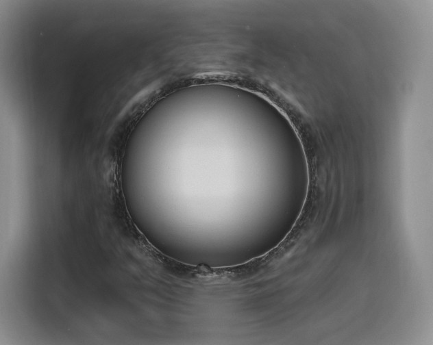 X0000116151351200911231323