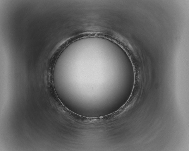 X0000116151352200911231323