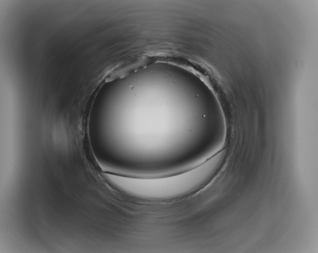 X0000116151353200911231323