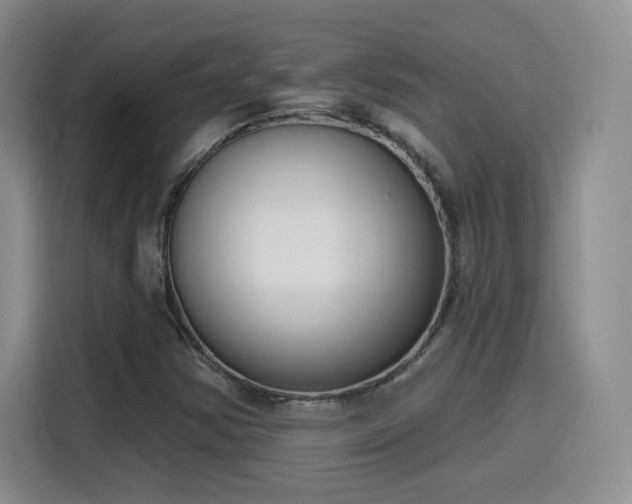 X0000116151354200911231323