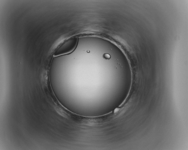 X0000116151355200911231323