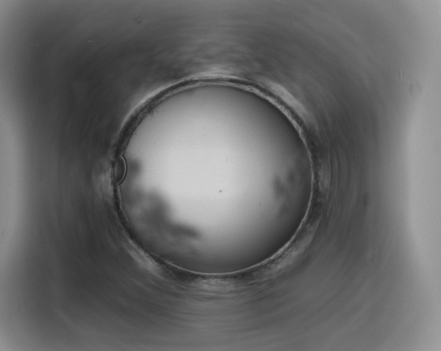 X0000116151356200911231323