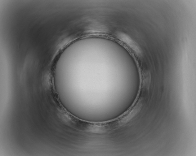 X0000116151357200911231323