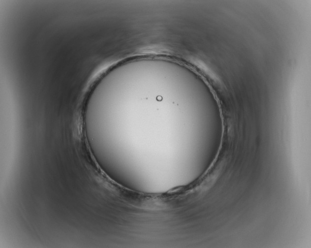 X0000116151358200911231323