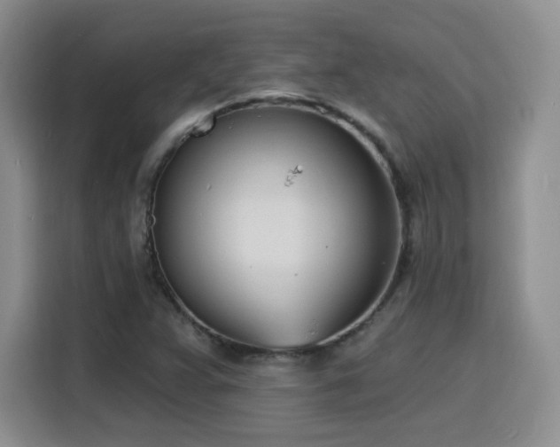 X0000116151359200911231323