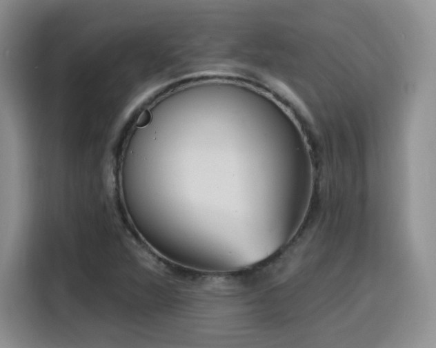 X0000116151360200911231323