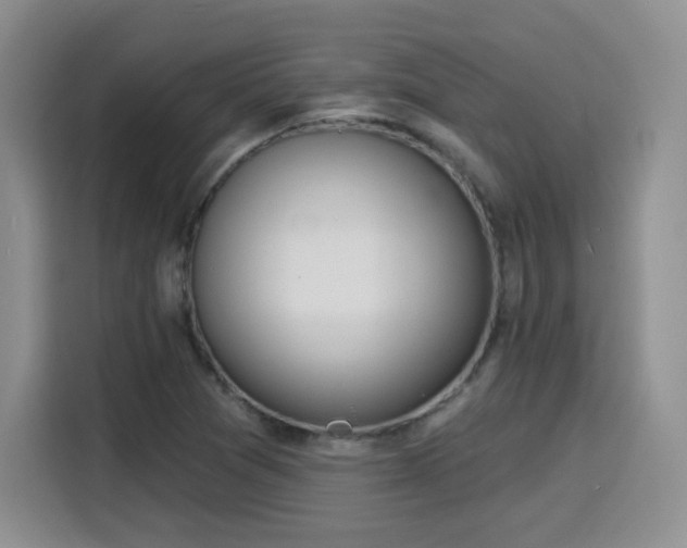 X0000116151361200911231323