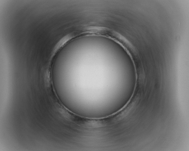 X0000116151362200911231323