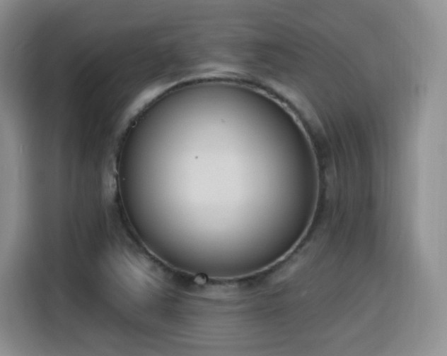 X0000116151363200911231323