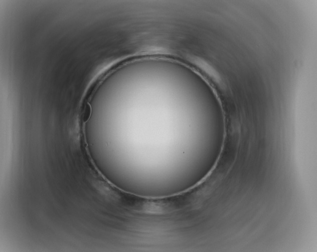 X0000116151364200911231323