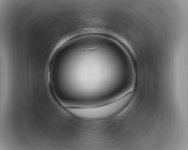 X0000116151365200911231323