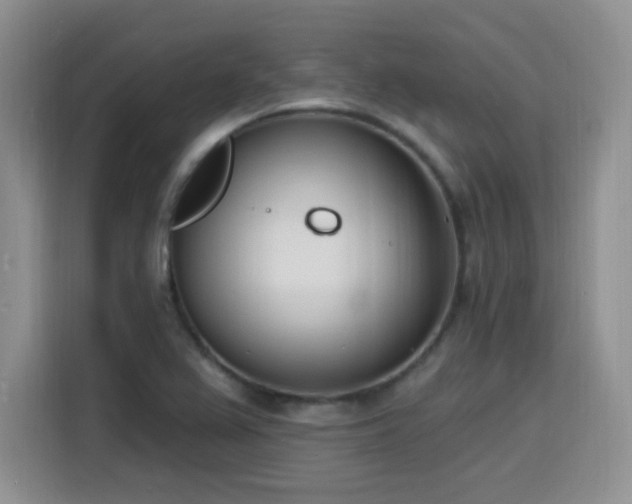 X0000116151367200911231323