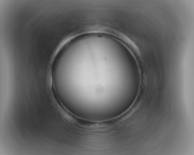 X0000116151368200911231323