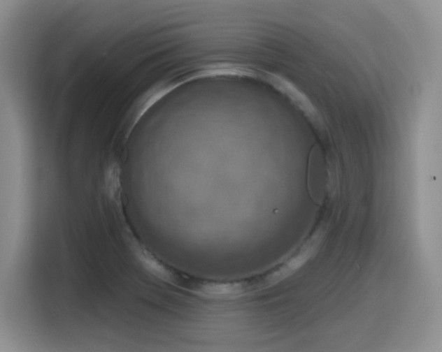 X0000116151369200911231323