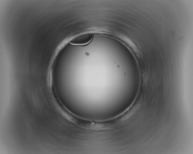 X0000116151371200911231323