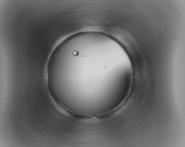 X0000116151372200911231323