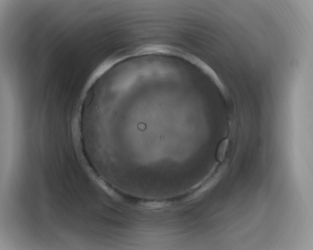 X0000116151373200911231323