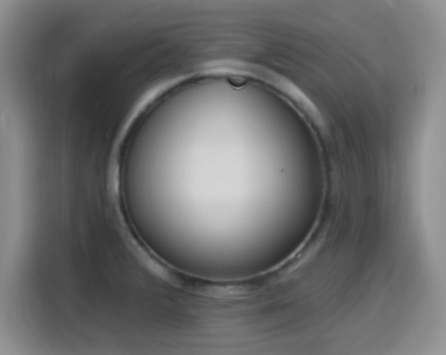 X0000116151376200911231323