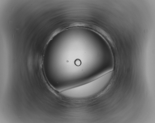 X0000116151377200911231322