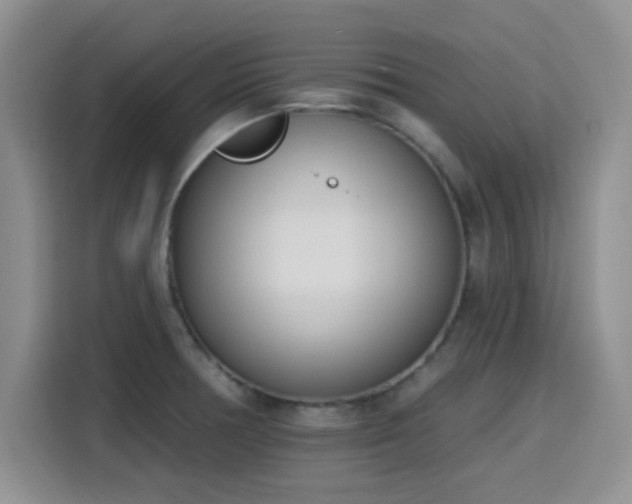 X0000116151378200911231322