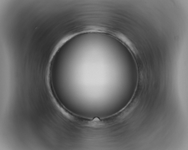 X0000116151379200911231322