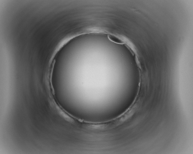 X0000116151381200911231322