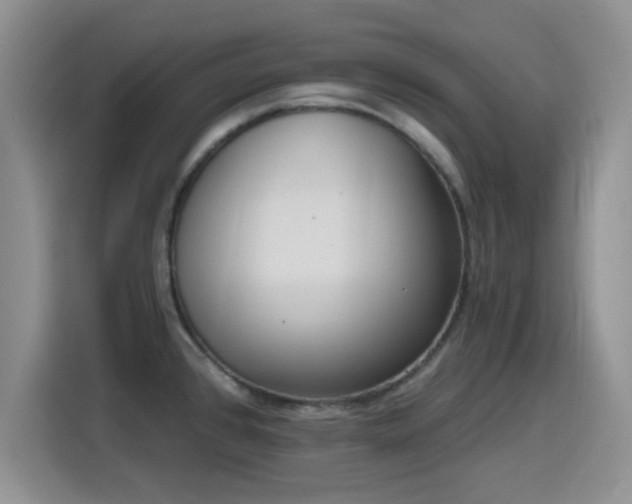 X0000116151384200911231322