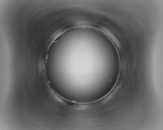 X0000116151385200911231322