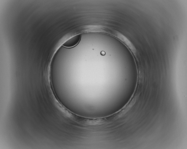 X0000116151386200911231322