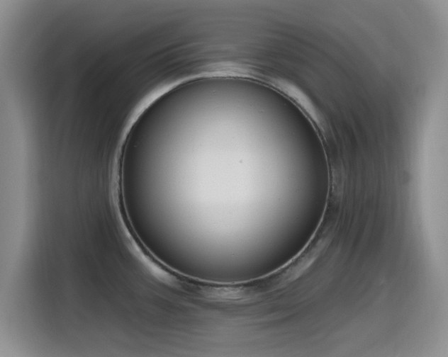 X0000116151387200911231322