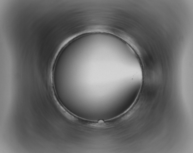 X0000116151388200911231322