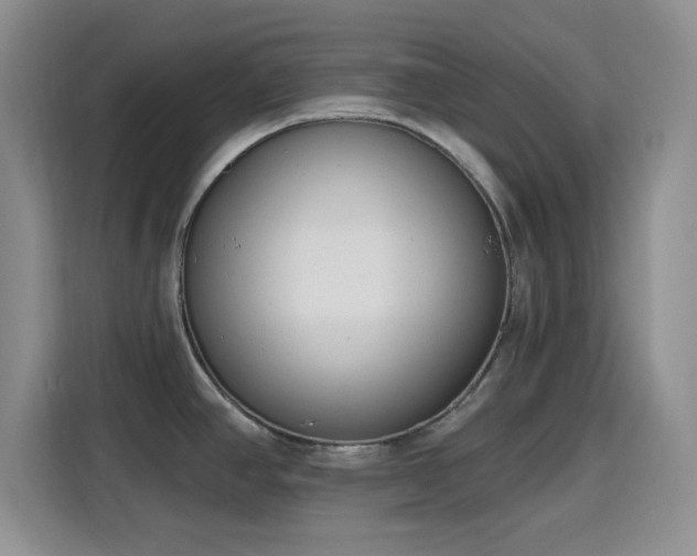 X0000116151390200911231322