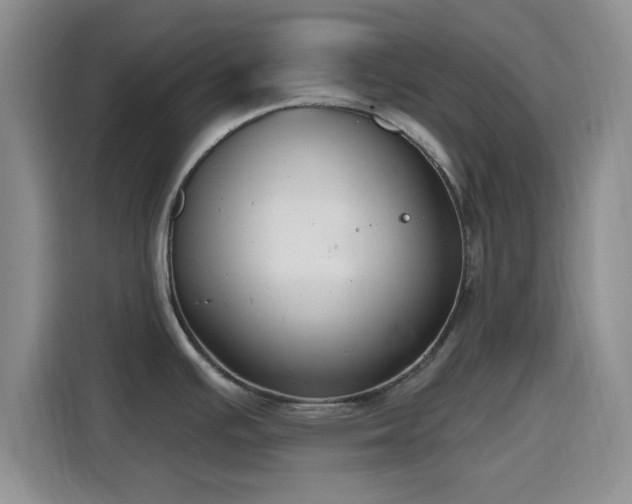 X0000116151391200911231322