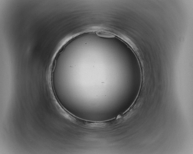 X0000116151392200911231322