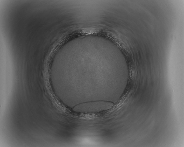 X0000116151393200911231322