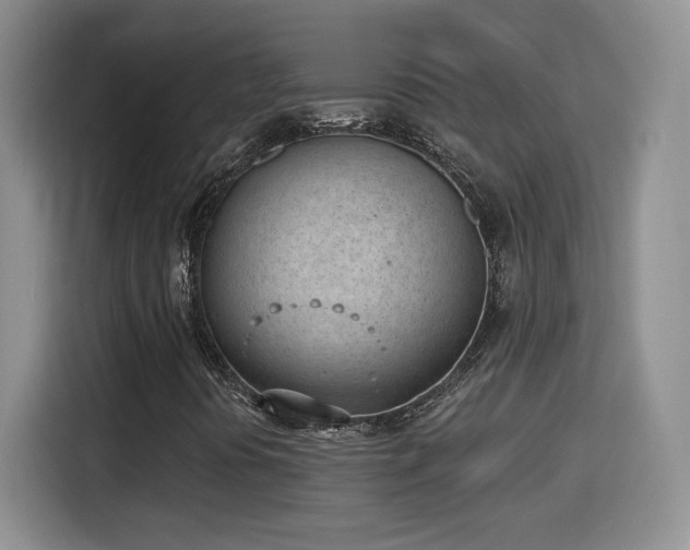 X0000116151394200911231322