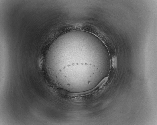 X0000116151395200911231322