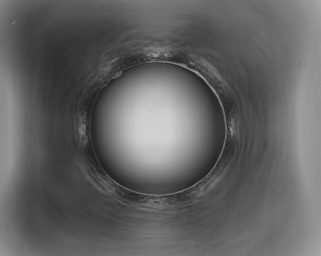 X0000116151396200911231322