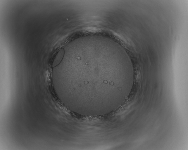 X0000116151397200911231322